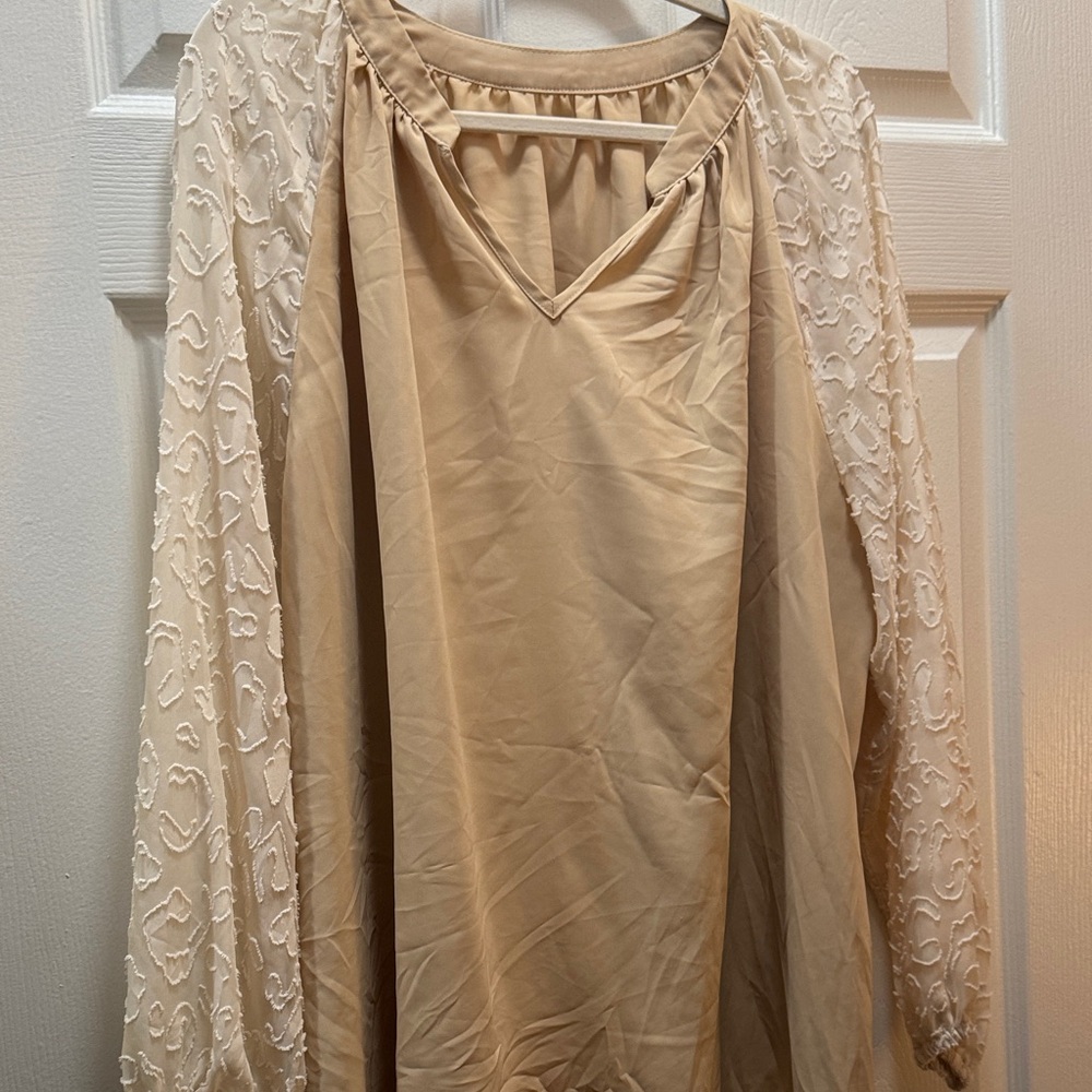Beige Long Sleeve Blouse